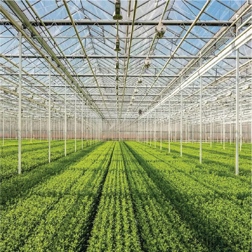 Agriculture